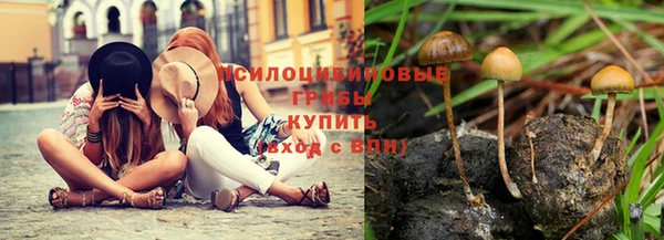 бутират Арсеньев