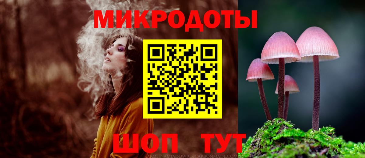 Псилоцибиновые грибы Cubensis Белая Калитва